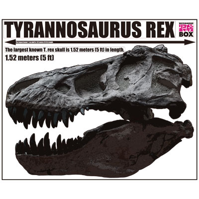 ウォールステッカー Trex01