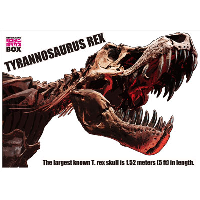 ウォールステッカー Trex02